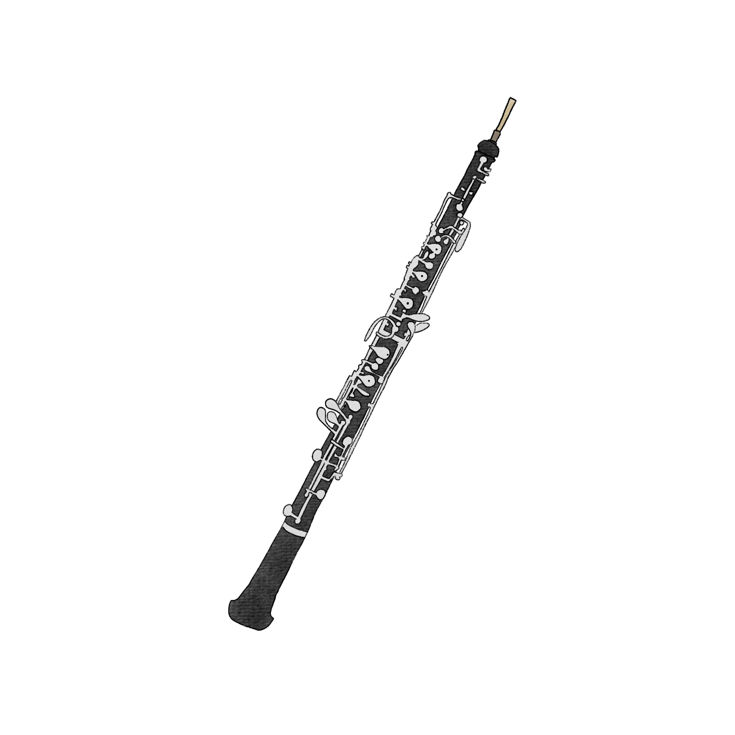 Illustration of an oboe on a white background