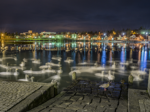 Ljós í myrkri við Tjörnina.