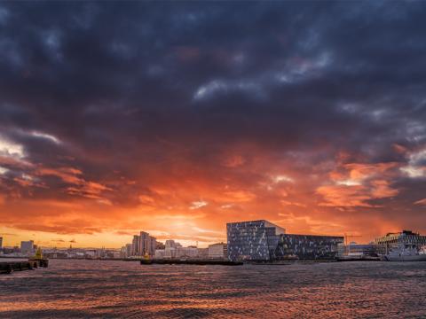 Harpa and the ocean at sunset.