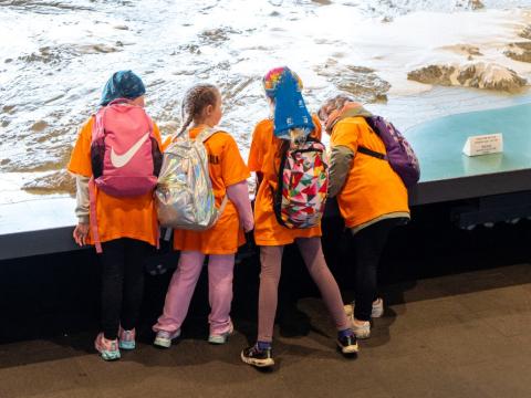Children looking at the map of Iceland in Tjarnarsalur at City Hall.