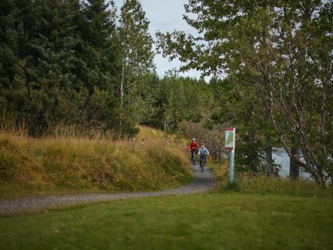 Heiðmörk Reykjavíkur
