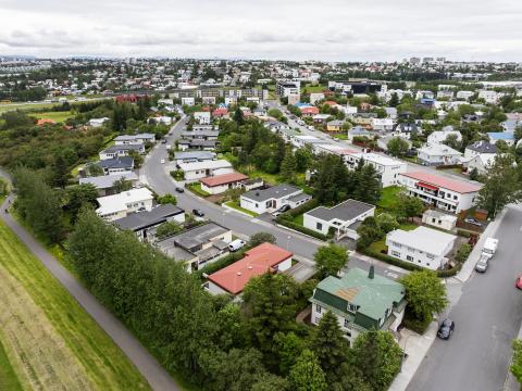 Loftmynd yfir eitt af hverfum Reykjavíkur, tré í forgrunni, sumar