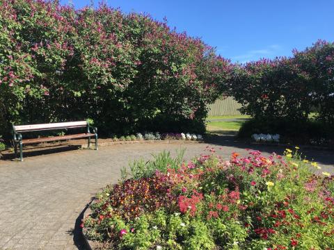 park in bloom