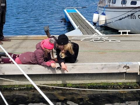 Photo of children on a pier.