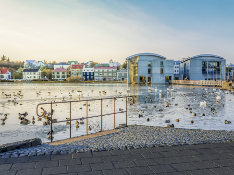 A view across Tjörnin toward Reykjavík City Hall