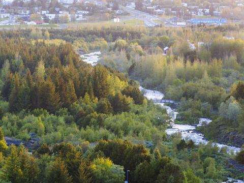 Yfirlitsmynd yfir skógargróður og á.