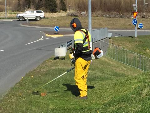 Grassláttur er hafinn