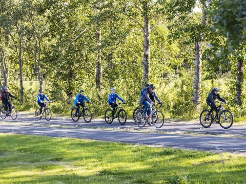 Six people riding in a line along a biking path through a forest.