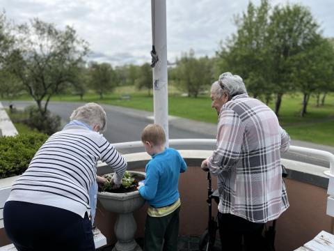 Older women and a preschool child plant flowers together