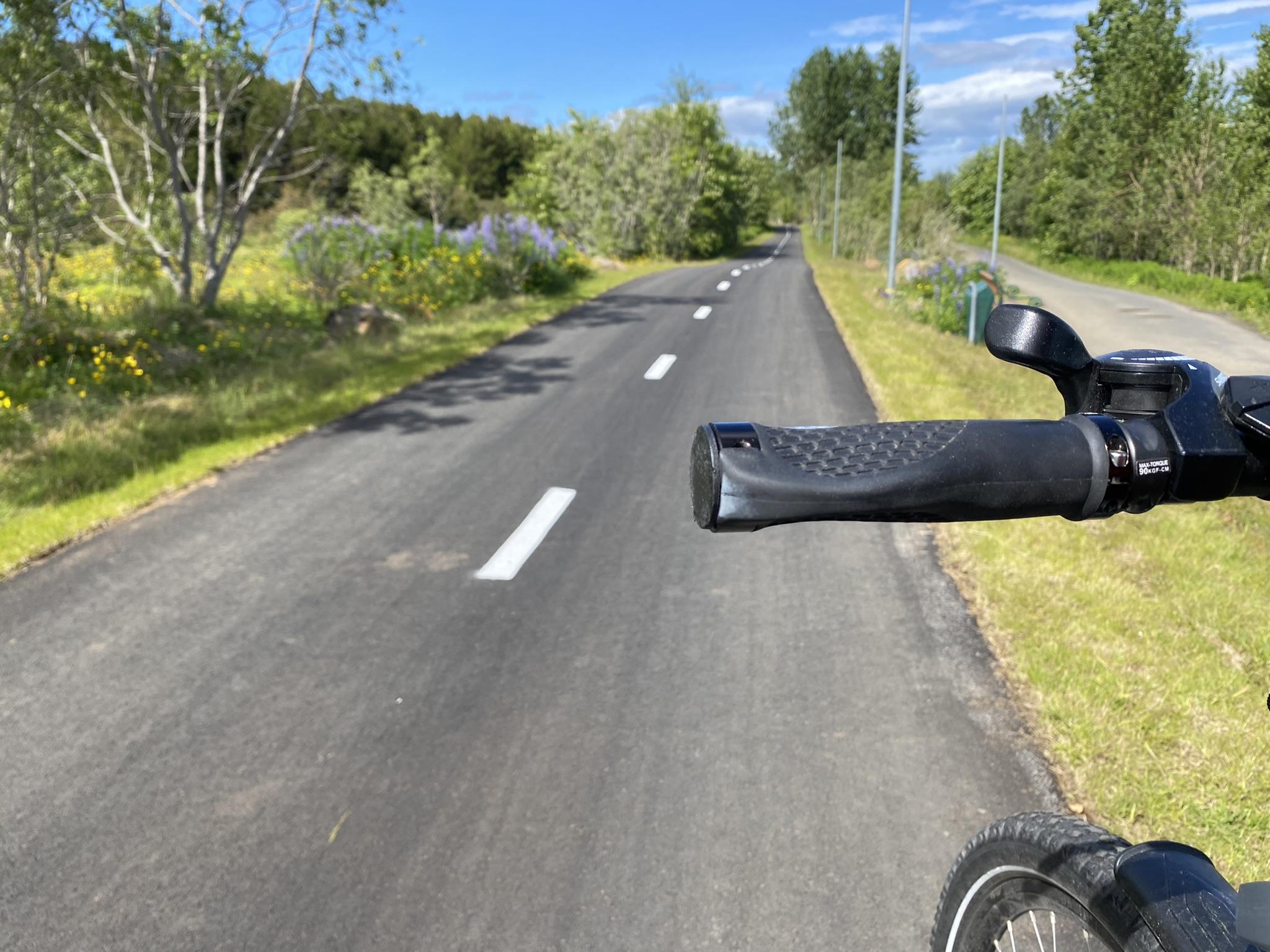 Sjónarhorn hjólandi vegfaranda á hjólastíg í Elliðaárdal.