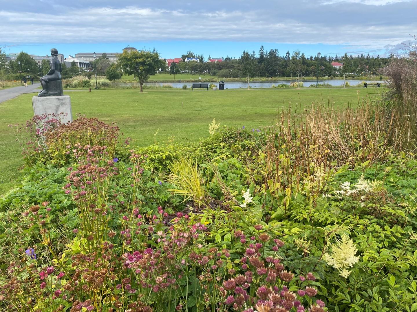 Fjölæringabeð í Hljómskálagarðinum.