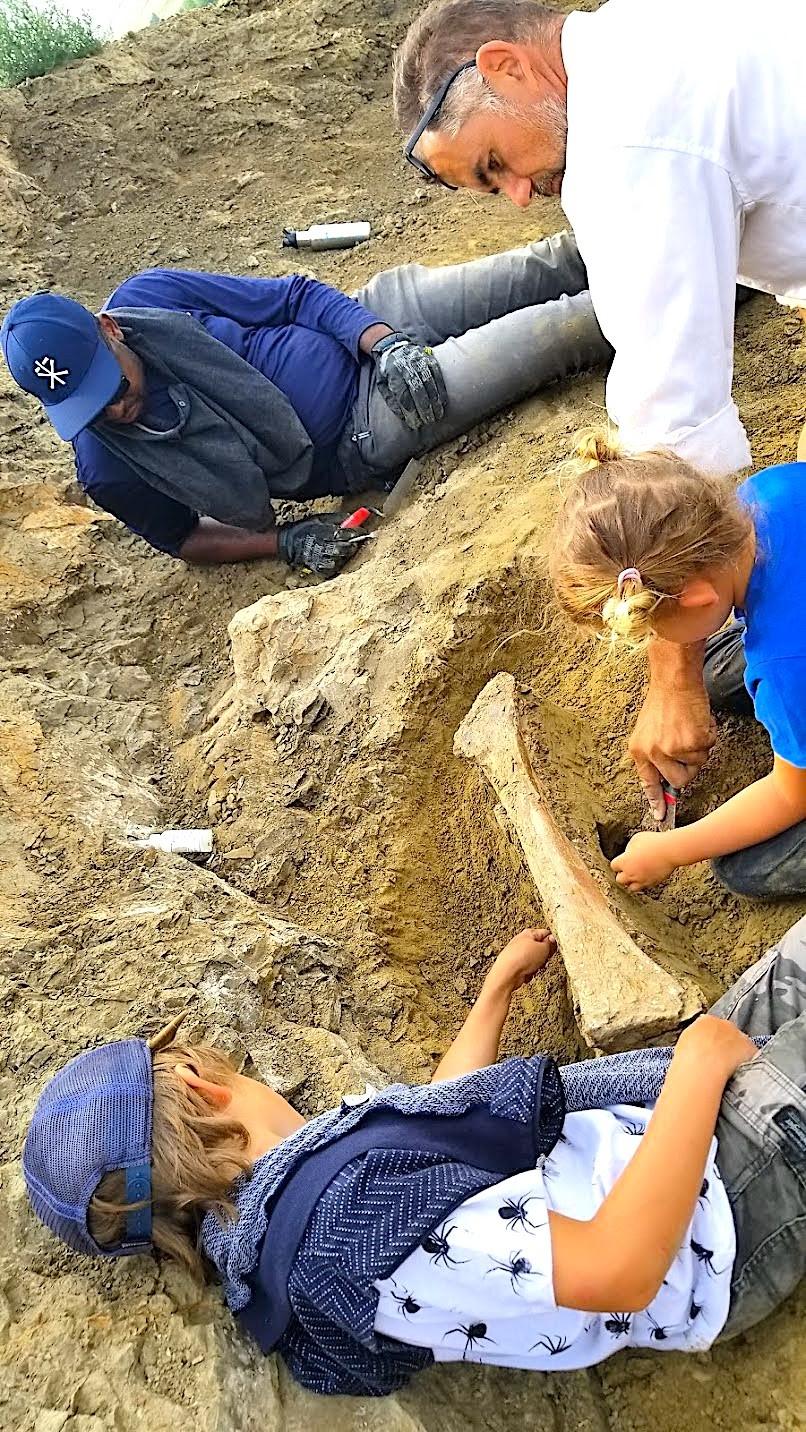 Íslendingum býðst að taka þátt í uppgreftri næsta sumar.