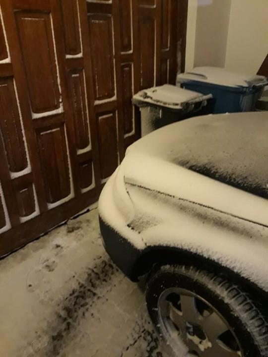 Bíll sem lagt er fyrir sorptunnur.