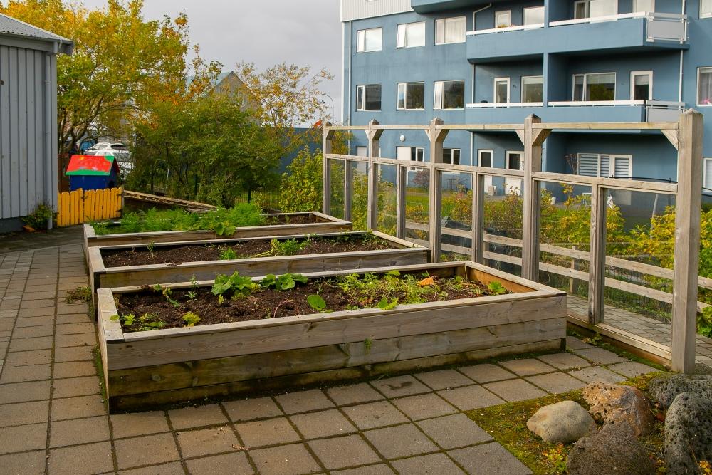 Garden beds on the grounds of Drafnarsteinn.