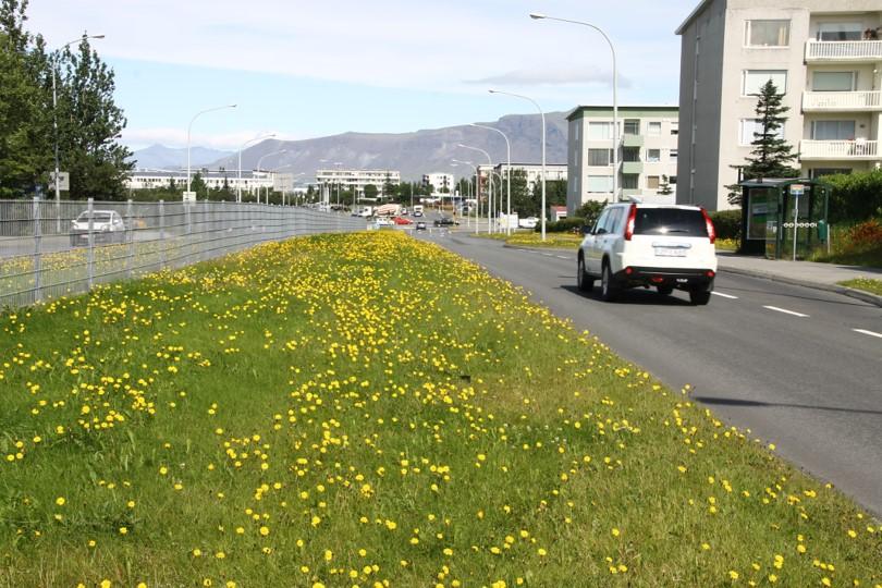 Grassláttur 2