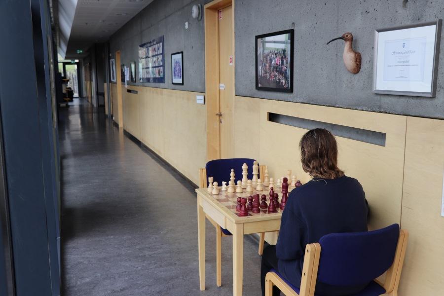 A young person sits at a chess table in the hallway. Pictures on a wall. 