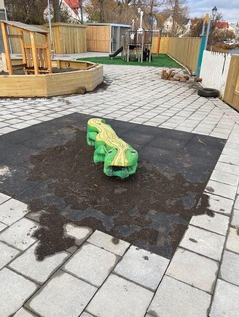 Eðlan búin að finna sinn stað