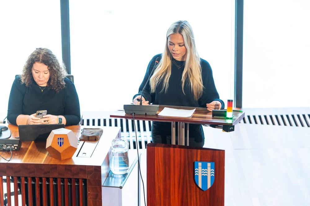 Youth Council of Reykjavík 2024 