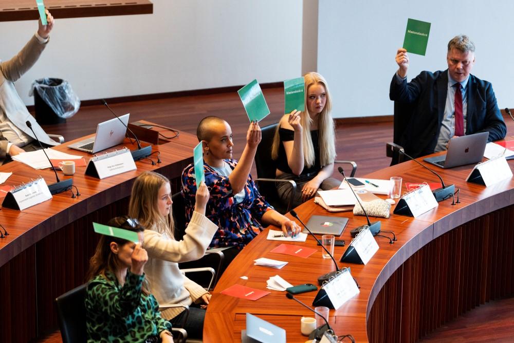 Youth Council of Reykjavík 2024 