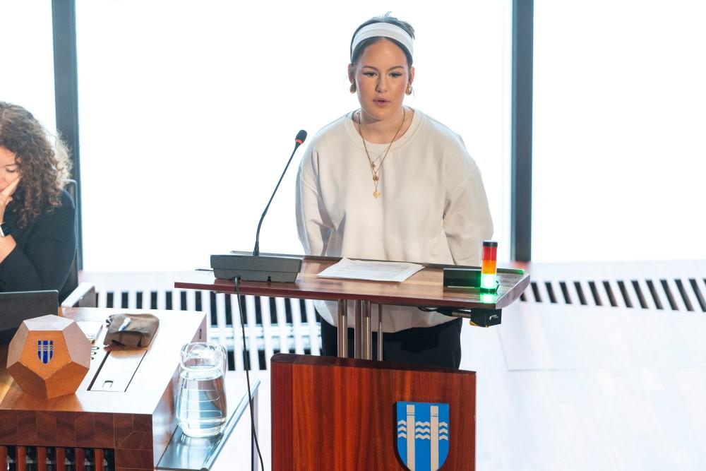 Youth Council of Reykjavík 2024 