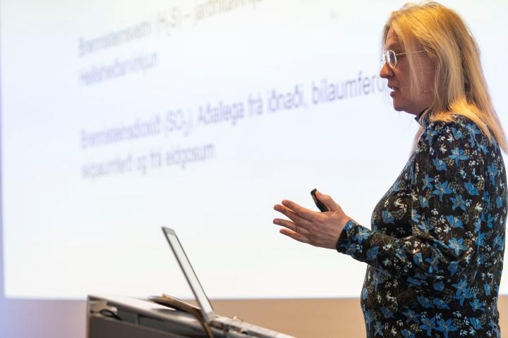 Svava S. Steinarsdóttir