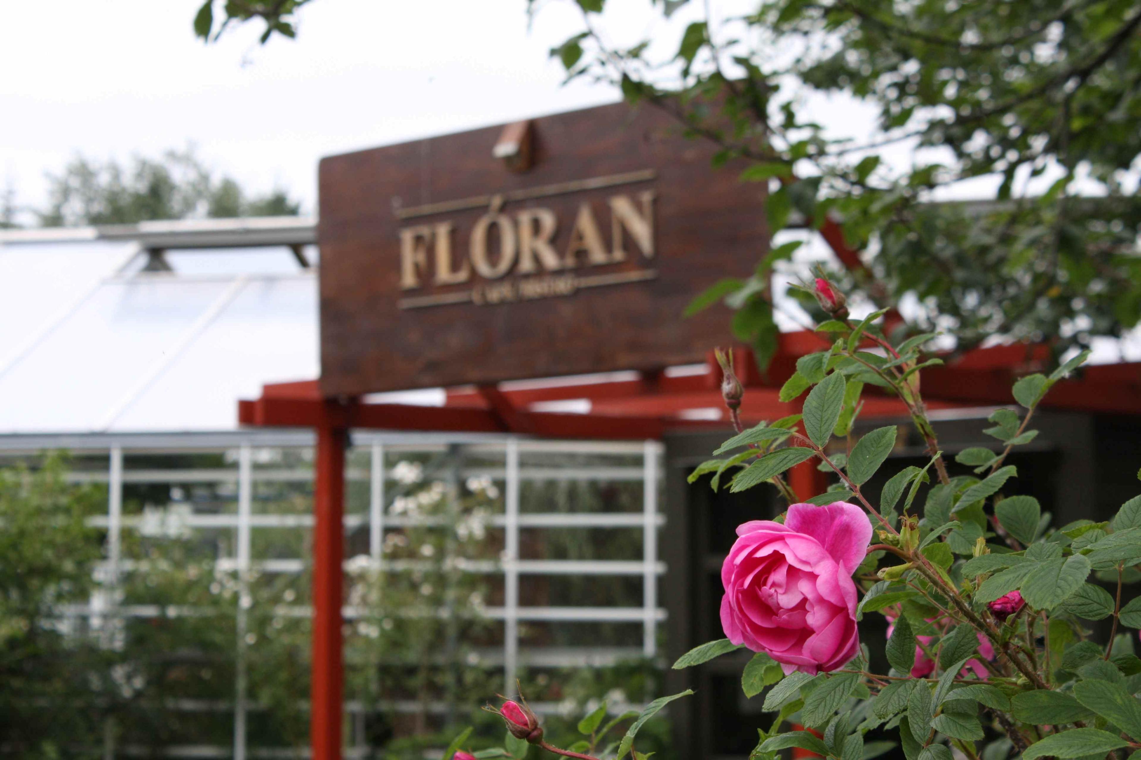 Café Flóra and flowers