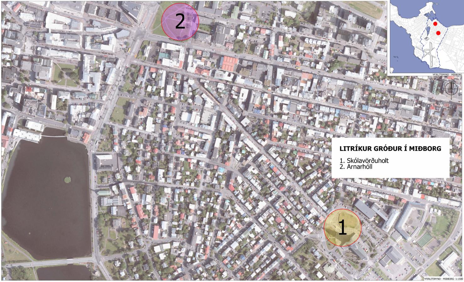 Litríkur gróður í miðborg