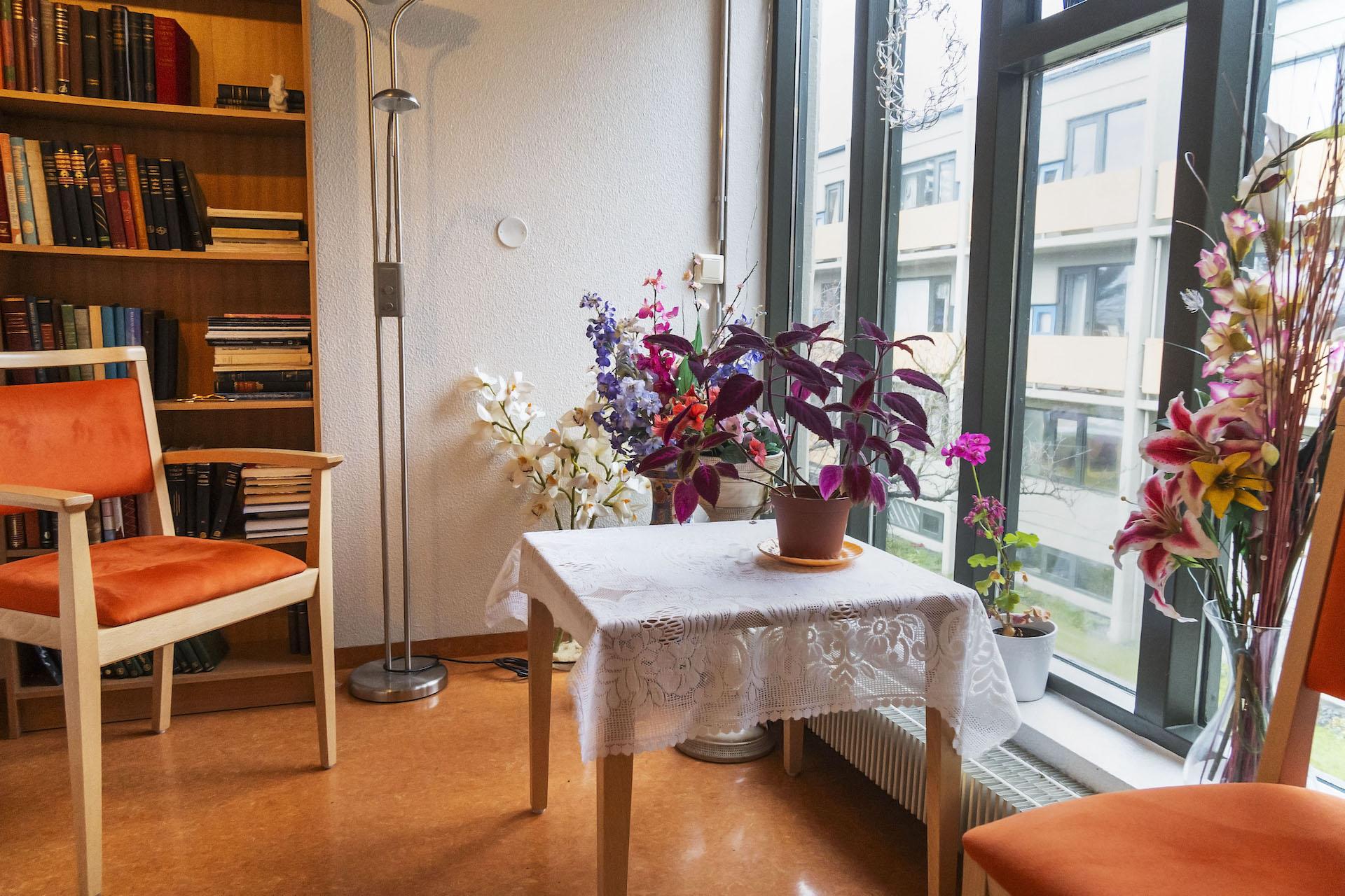 Planta á dúkalögðu borði, stóll við hlið borðsins, fyrir framan bókahillu