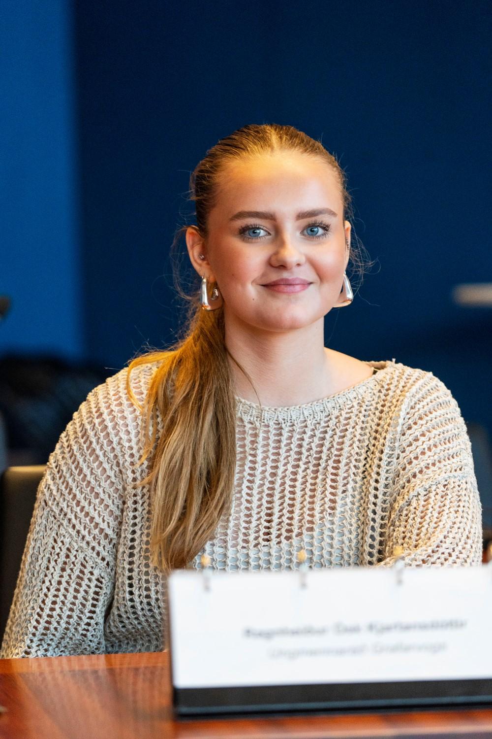 Reykjavíkurráð ungmenna 2025