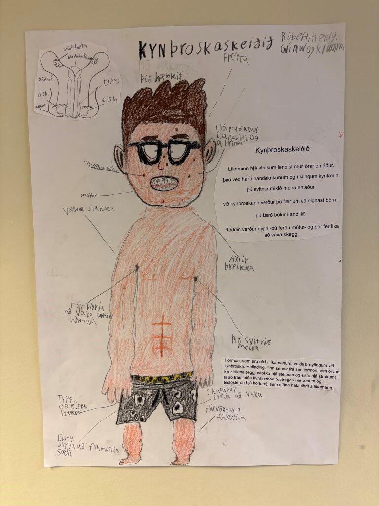 Drawing created by students for Week 6. The drawing shows a boy going through puberty.