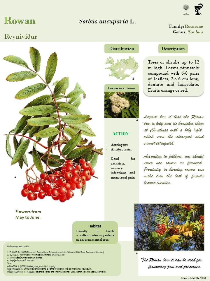 Photo of an information sign on plants