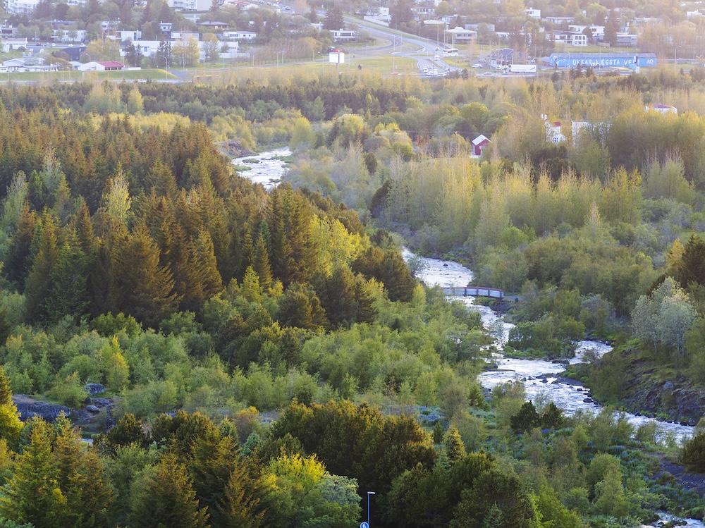 Yfirlitsmynd yfir skógargróður og á.