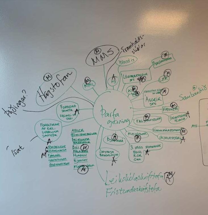 Mind map: needs assessment for a student and learning management system.