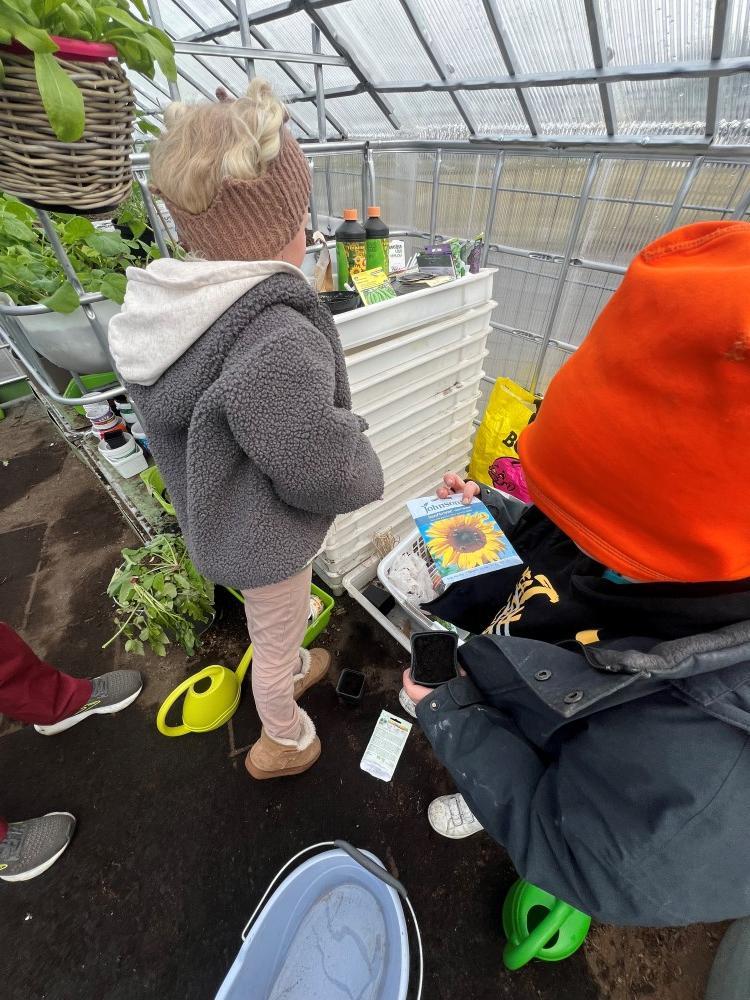 Ræktun í bambahúsi Rauðhóls