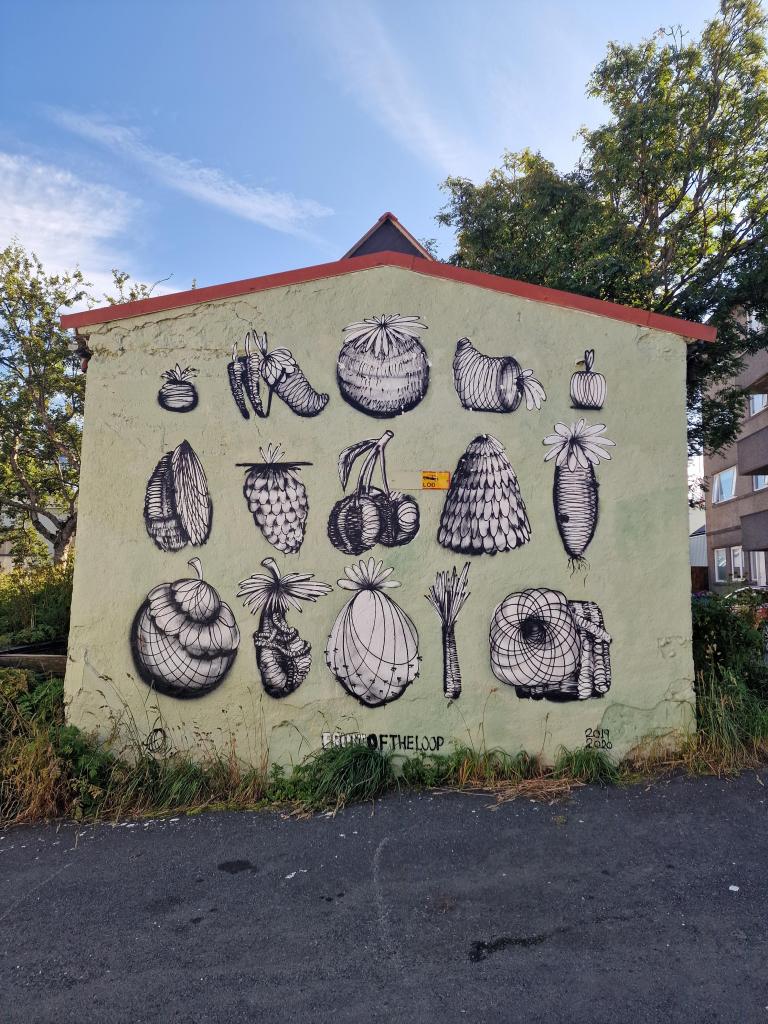 Vegglistaverk við Veghúsastíg 1 eftir Qwick (Narfa).