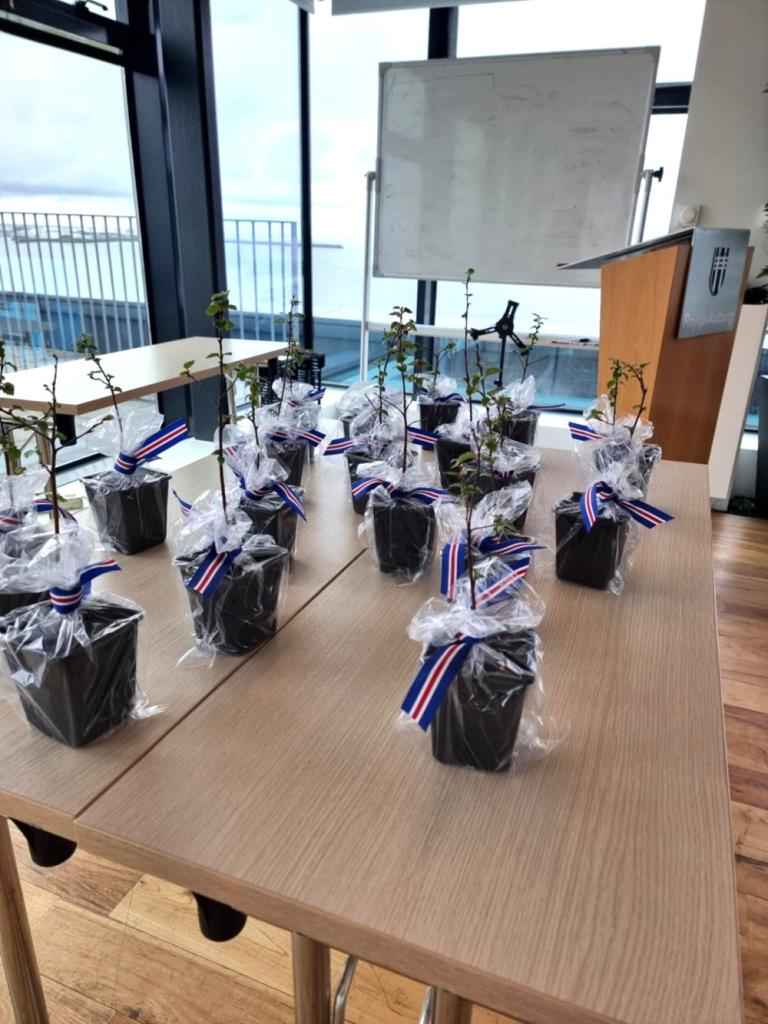 The new graduates received birch saplings as gifts.
