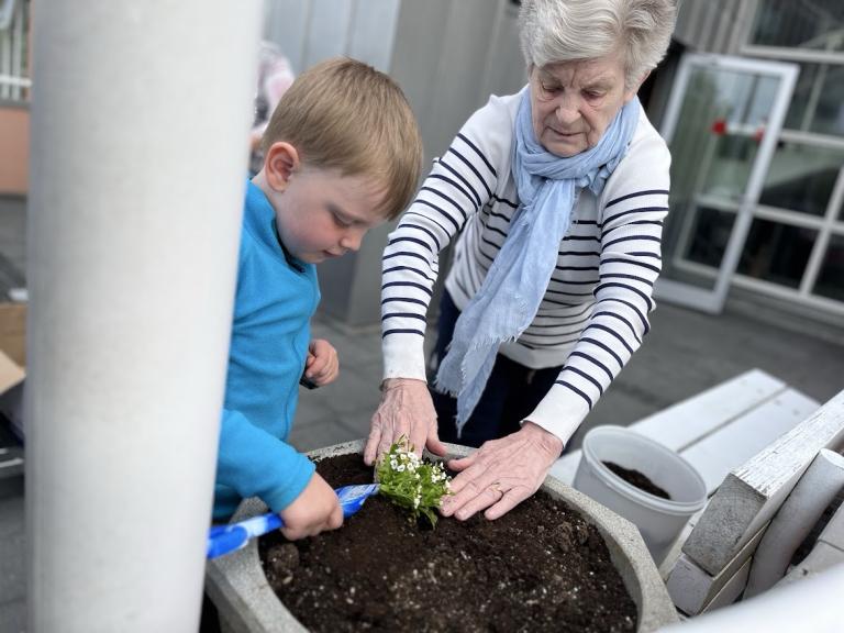 An older woman helps a preschool child plant.