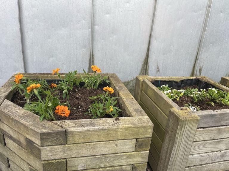 Summer flowers in large bins.