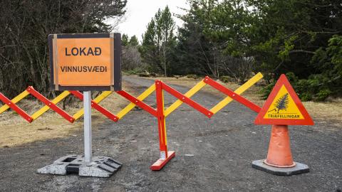 Tree removal completed in Öskjuhlíð