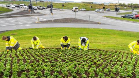 Regnfataklædd ungmenni planta í beð við gatnamót hjá flugvelli og göngubrú. Sumar, rigning, umferð í bakgrunni.