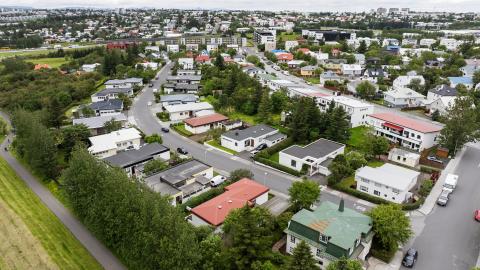 Loftmynd yfir eitt af hverfum Reykjavíkur, tré í forgrunni, sumar