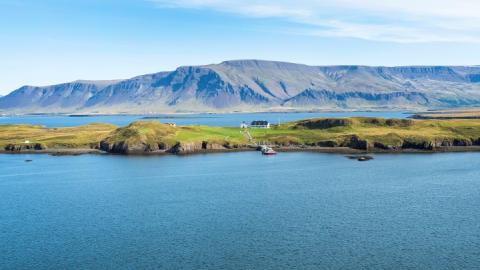 Viðey að sumri til.