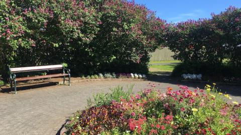 park in bloom
