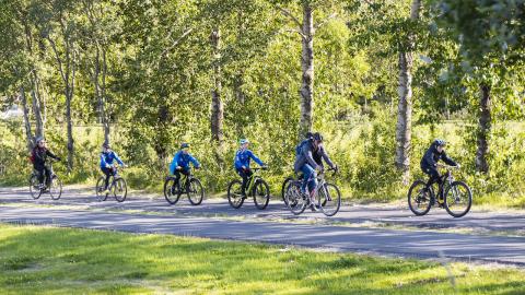 Six people riding in a line along a biking path through a forest.