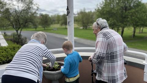 Older women and a preschool child plant flowers together