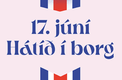 17. júní vefur